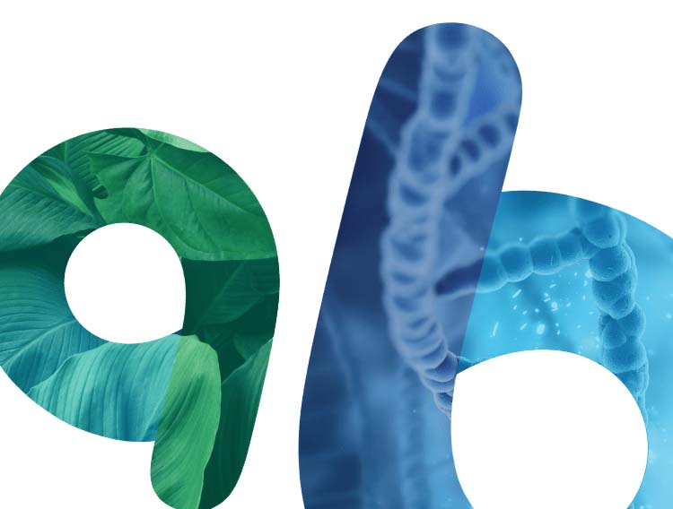 mobile-logo-effect@2x